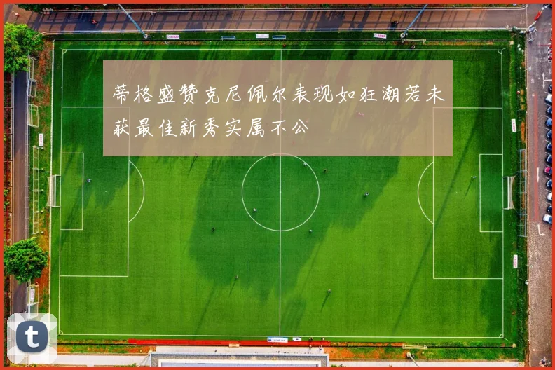 蒂格盛赞克尼佩尔表现如狂潮若未获最佳新秀实属不公