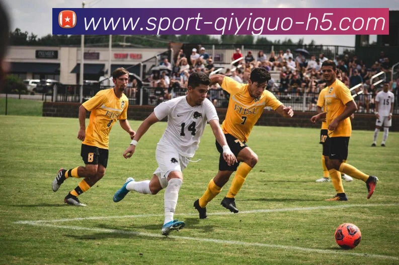 多媒体互动体验